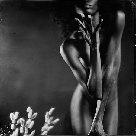 Dream of nature II