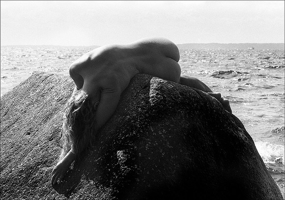Back to wild IV