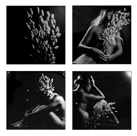 Dream of nature III