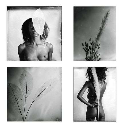 Dream of nature II