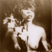 Collodion chlorure d'argent sur verre (18x18cm)
