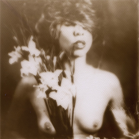 Collodion chlorure d'argent sur verre (18x18cm)