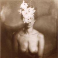 Collodion chlorure d'argent sur verre (18x18cm)