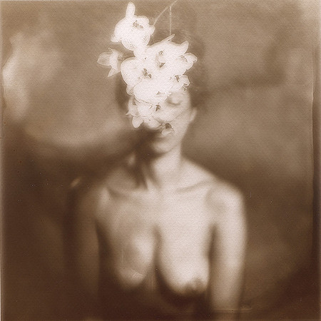 Collodion chlorure d'argent sur verre (18x18cm)