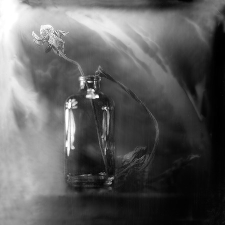 Chemical picture II