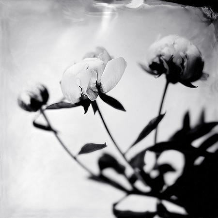Transition I