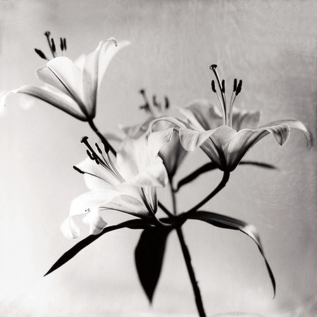 Transition III