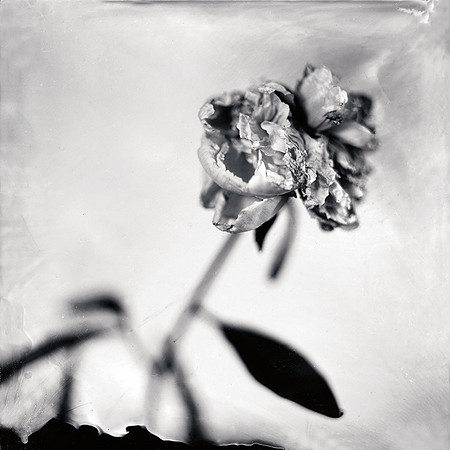 Transition II