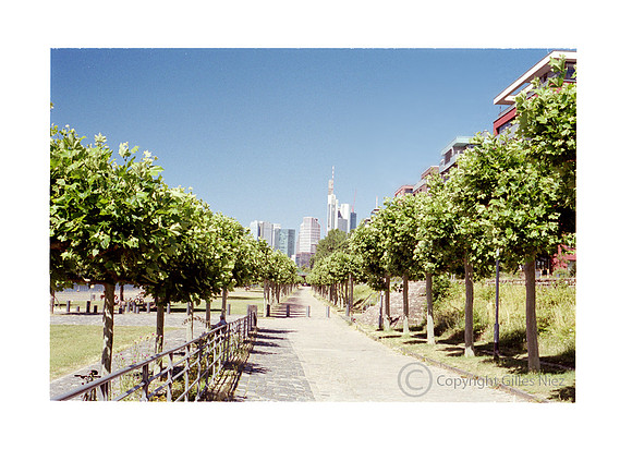 Green city, Francfort