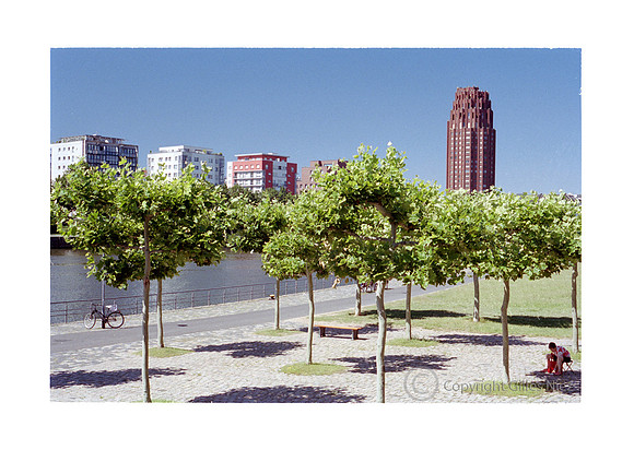 Green city, Francfort