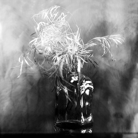 Chemical picture I