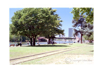 Green city, Francfort