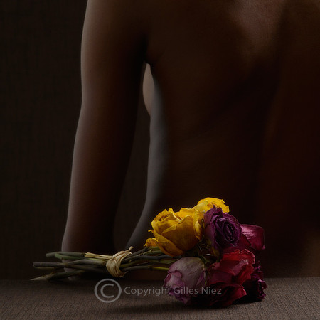 Dried flower II