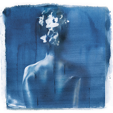 Cyanotype sur papier aquarelle