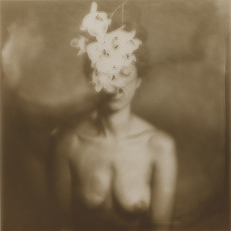 Collodion au Chlorure d'argent (ou Aristotype) sur verre