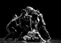 Nederlands Dans Theater 5