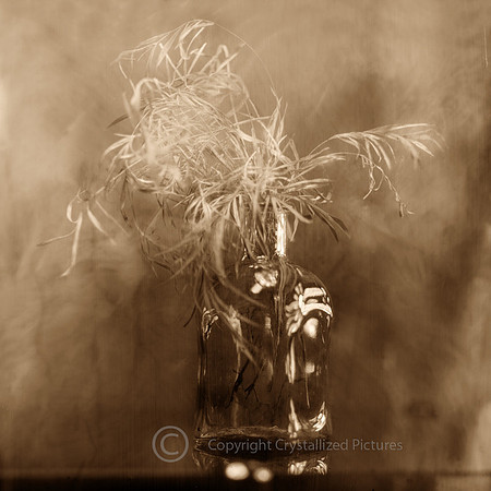 Chemical picture II