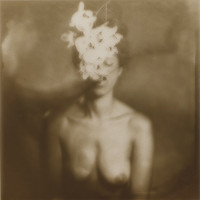 Collodion au Chlorure d'argent (ou Aristotype) sur verre