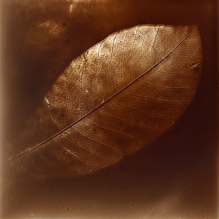 Van Dyke sur verre